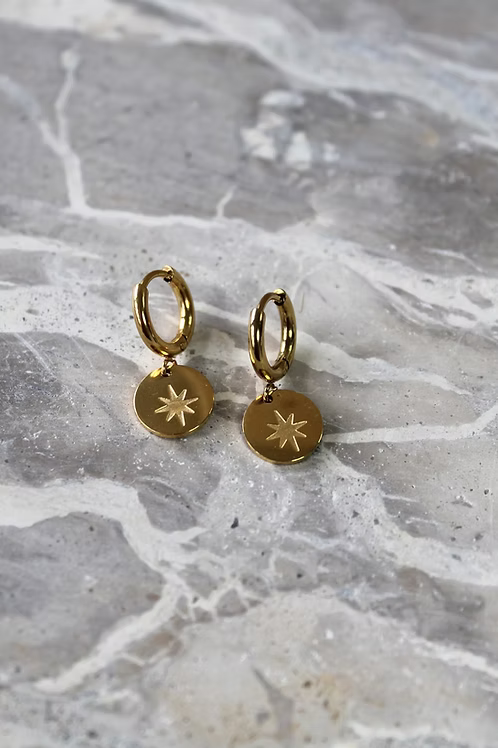 Star coin Earrings