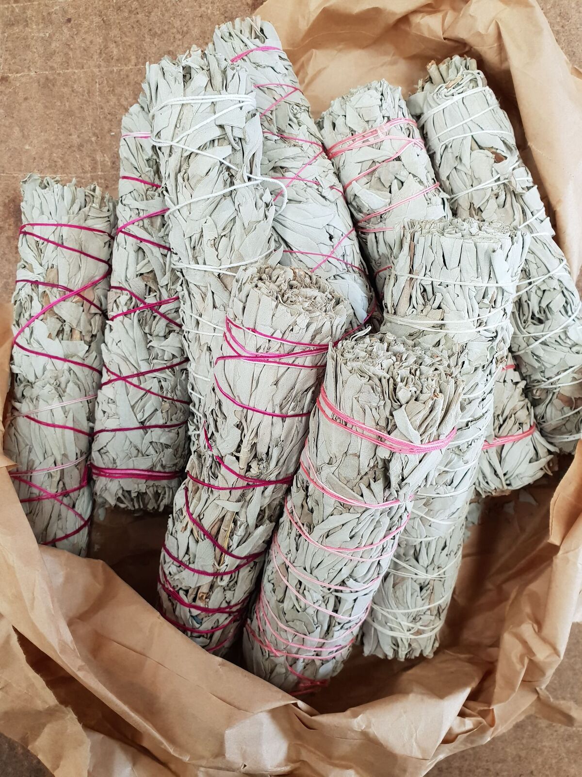 Californian White Sage Smudge JUMBO Sticks- 20cm image 0