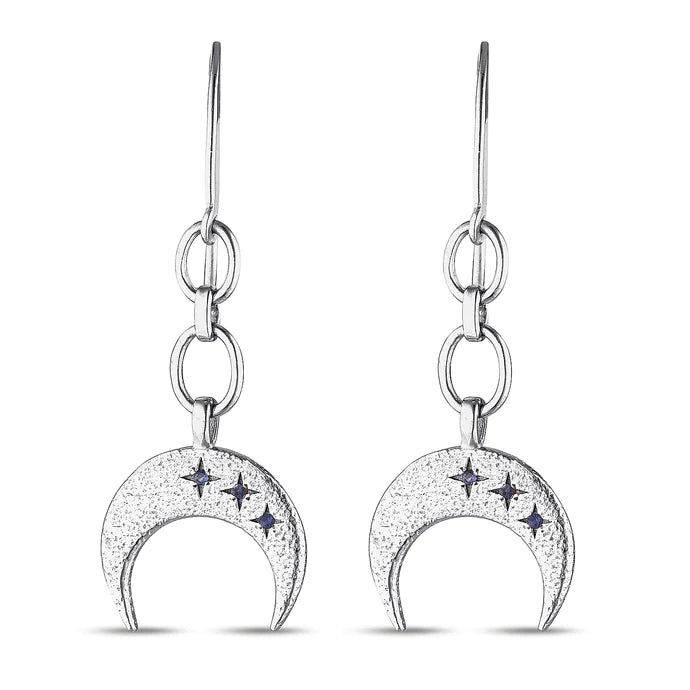 Star Dust Earrings / Silver image 0