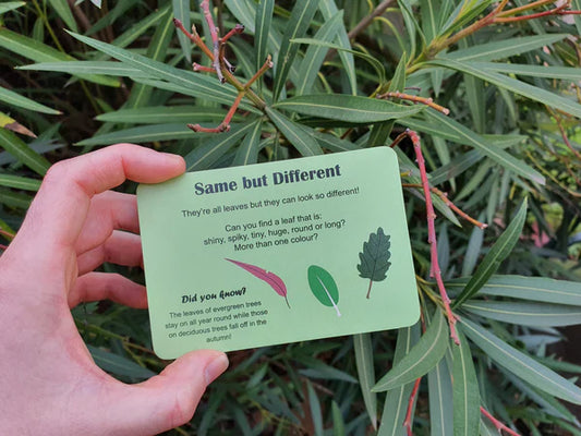 Garden Treasure Hunt / Nature Fun Card Games image 1