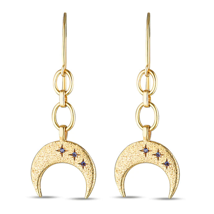 Star Dust Earrings / Gold image 0