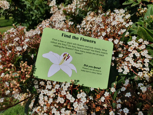 Garden Treasure Hunt / Nature Fun Card Games image 2