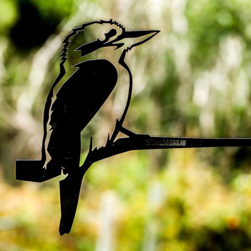 Kookaburra Priced From image 0