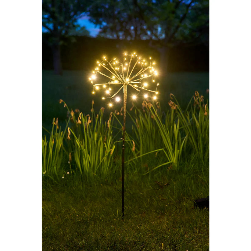 Solar Danelion Lights