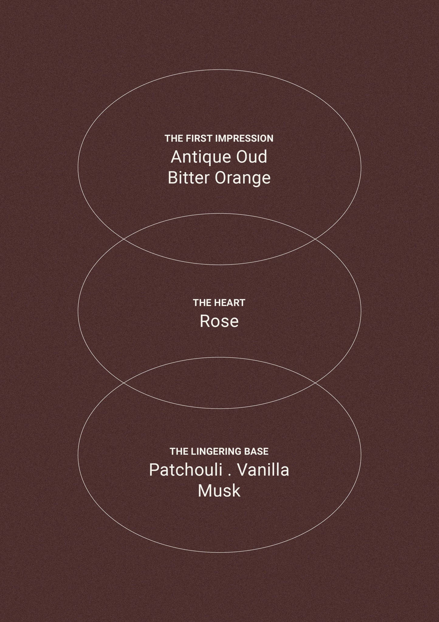 Smith & Co Black Oud & Saffron Hand/Body Wash