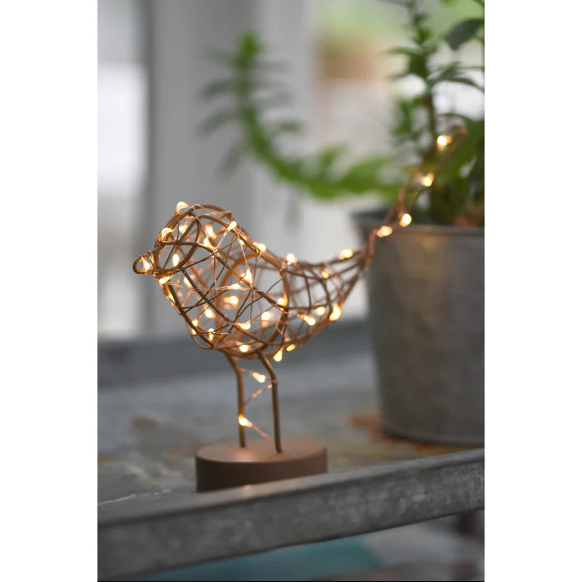 Table Robin light